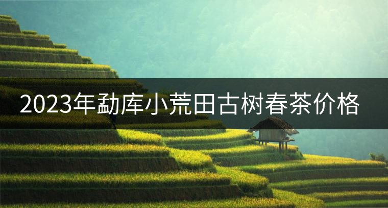 2023年勐庫(kù)小荒田古樹(shù)春茶價(jià)格是多少？