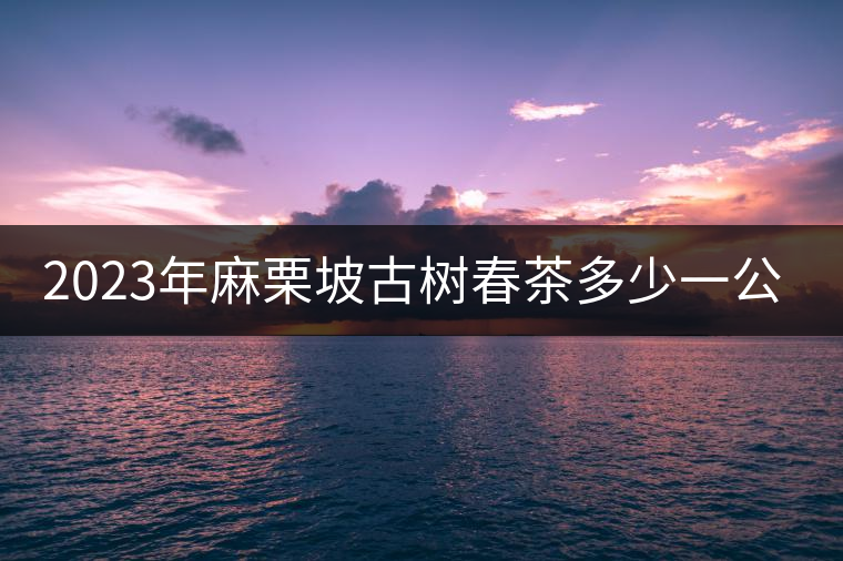 2023年麻栗坡古樹(shù)春茶多少一公斤？