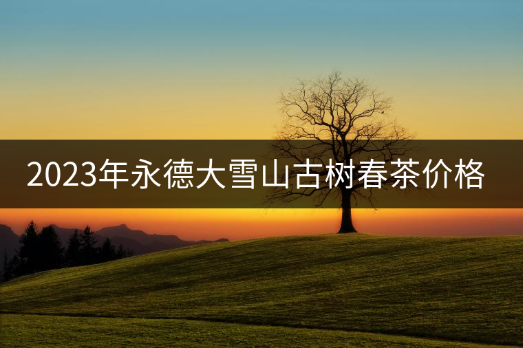 2023年永德大雪山古樹春茶價格是多少？