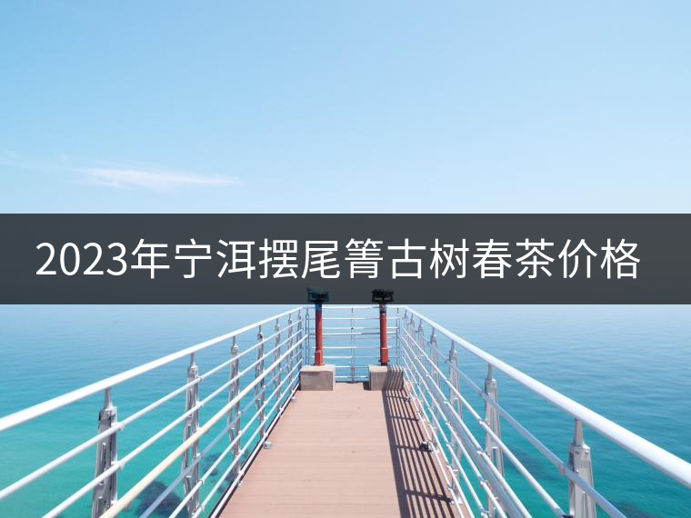 2023年寧洱擺尾箐古樹(shù)春茶價(jià)格是多少？
