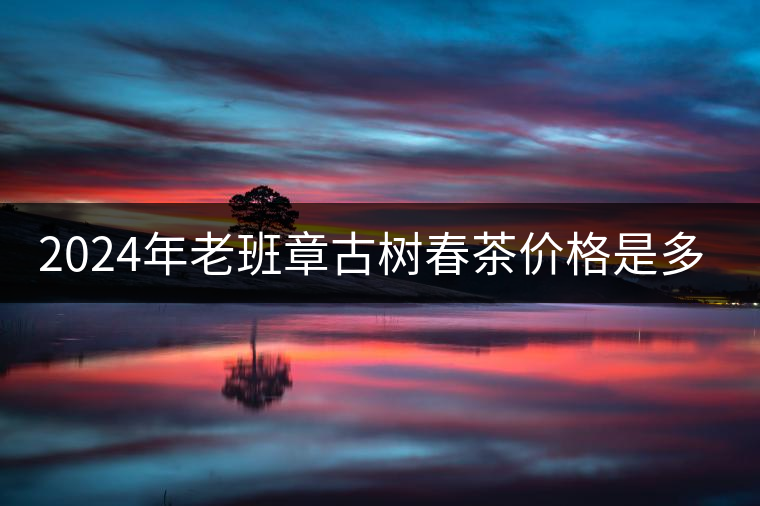 2024年老班章古樹春茶價格是多少？