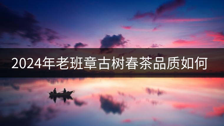 2024年老班章古樹春茶品質(zhì)如何？
