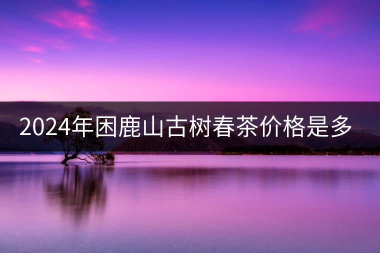 2024年困鹿山古樹春茶價(jià)格是多少？