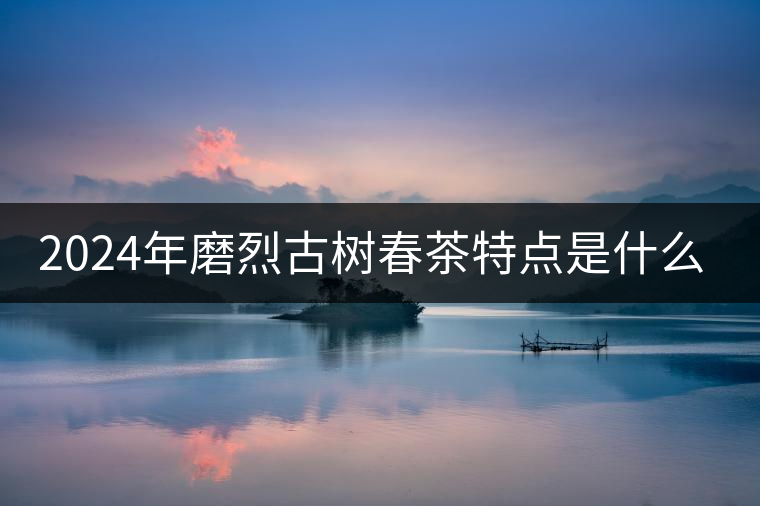 2024年磨烈古樹春茶特點(diǎn)是什么？
