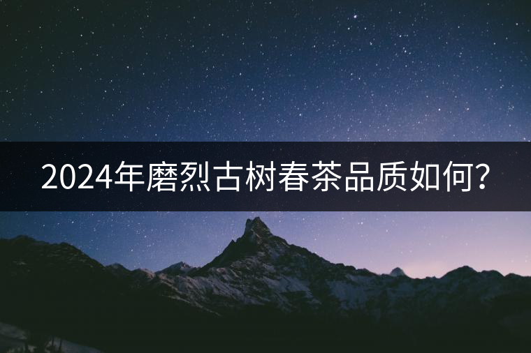 2024年磨烈古樹(shù)春茶品質(zhì)如何？