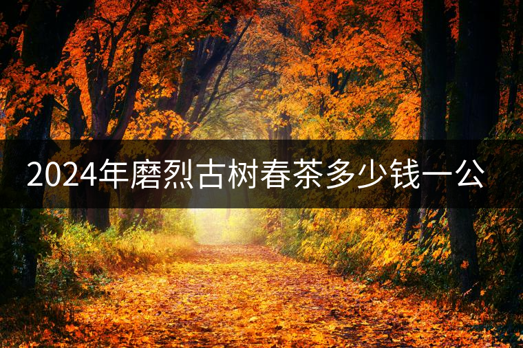 2024年磨烈古樹春茶多少錢一公斤？