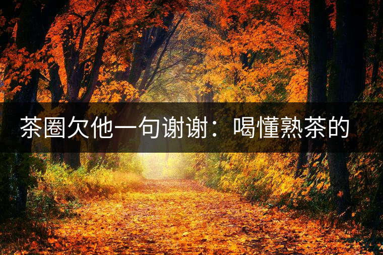 茶圈欠他一句謝謝：喝懂熟茶的人，都該記住陳佩仁這個(gè)名字
