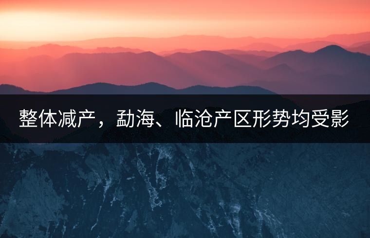 整體減產(chǎn)，勐海、臨滄產(chǎn)區(qū)形勢均受影響