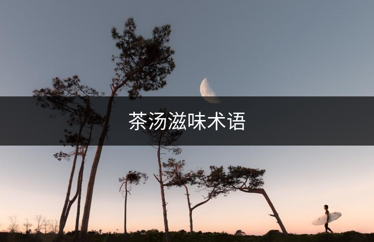 茶湯滋味術(shù)語 茶湯滋味術(shù)語