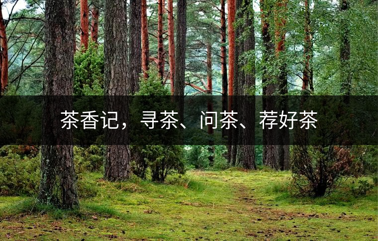 茶香記，尋茶、問(wèn)茶、薦好茶