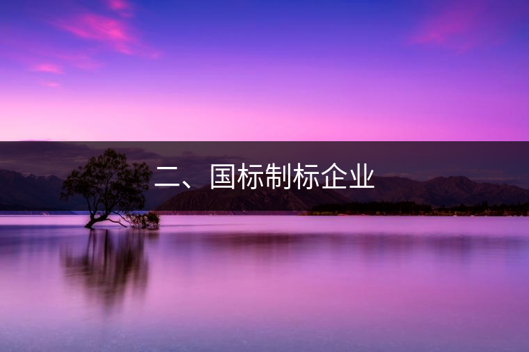 二、國(guó)標(biāo)制標(biāo)企業(yè)