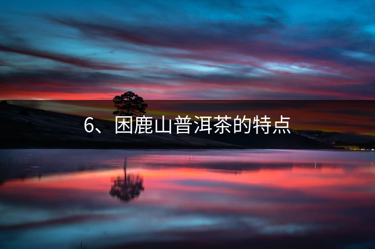 6、困鹿山普洱茶的特點