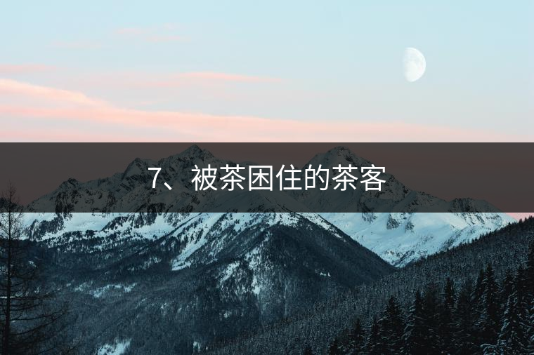 7、被茶困住的茶客