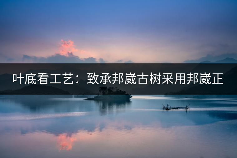 葉底看工藝：致承邦崴古樹采用邦崴正山三百至五百年古茶樹頭春鮮葉。經(jīng)手工殺青，石墨壓制，餅型周正，嚴(yán)守傳統(tǒng)工藝；葉底鮮活，幾乎無糊點，前期殺青較輕，這樣更利于后期轉(zhuǎn)化。