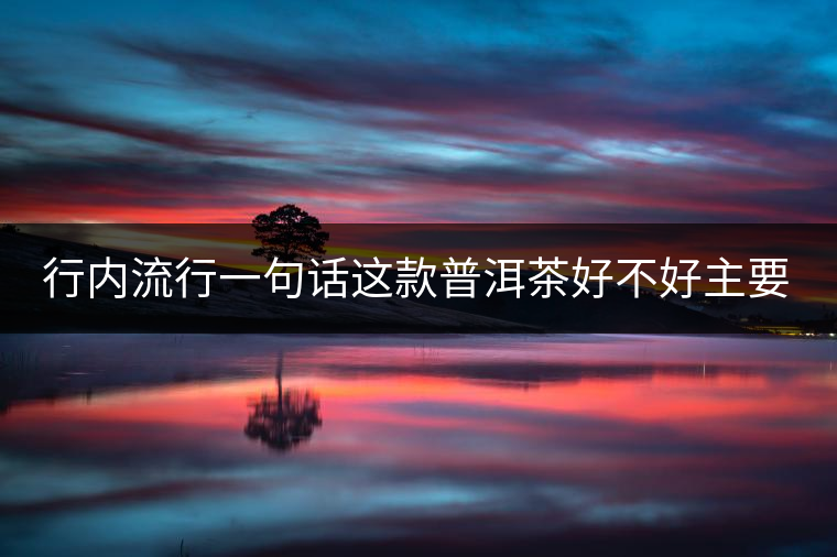 行內(nèi)流行一句話這款普洱茶好不好主要還看尾水，雖然比較片面但是也有一定道理。