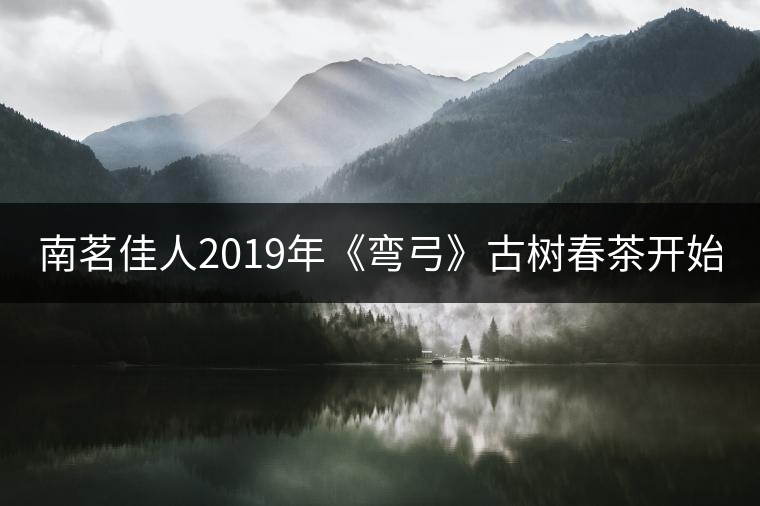 南茗佳人2019年《彎弓》古樹春茶開始預售啦！