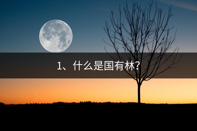 1、什么是國有林？