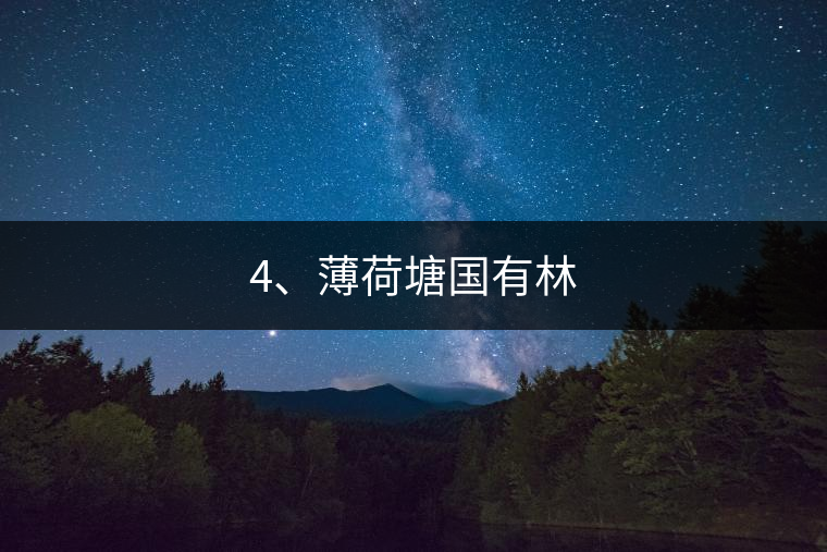 4、薄荷塘國有林