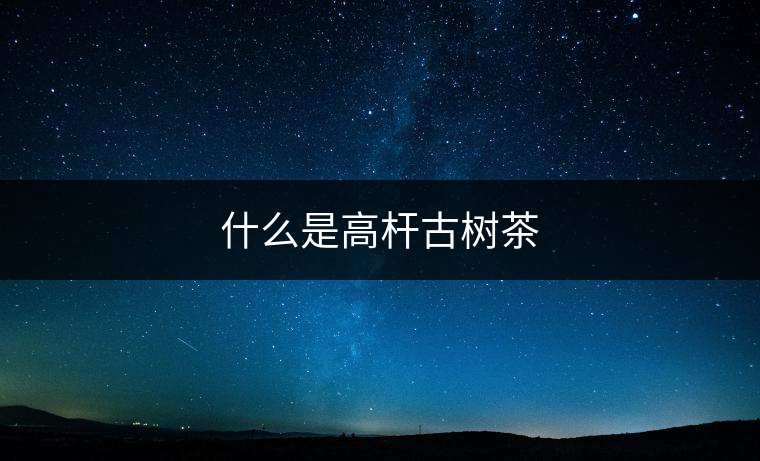 什么是高桿古樹(shù)茶