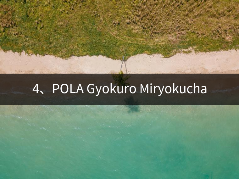 4、POLA Gyokuro Miryokucha
