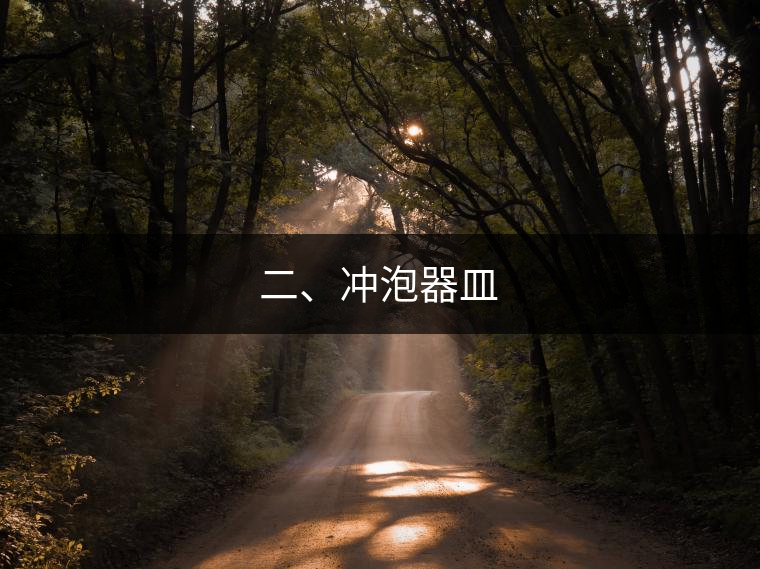 二、沖泡器皿