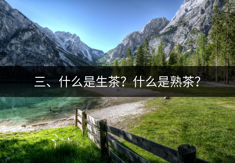 三、什么是生茶？什么是熟茶？