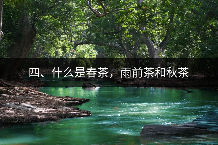 四、什么是春茶，雨前茶和秋茶