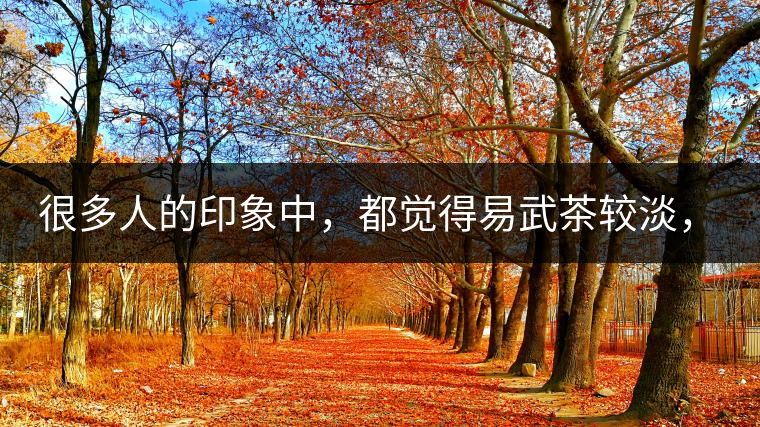 很多人的印象中，都覺(jué)得易武茶較淡，但存放幾年后，再喝又覺(jué)得茶味茶氣變濃了。我們就這個(gè)問(wèn)題，考察了易武古茶山，和走訪了當(dāng)?shù)夭柁r(nóng)。我們發(fā)現(xiàn)這跟易武古樹茶的茶質(zhì)和茶農(nóng)制茶的傳統(tǒng)工藝有關(guān)。