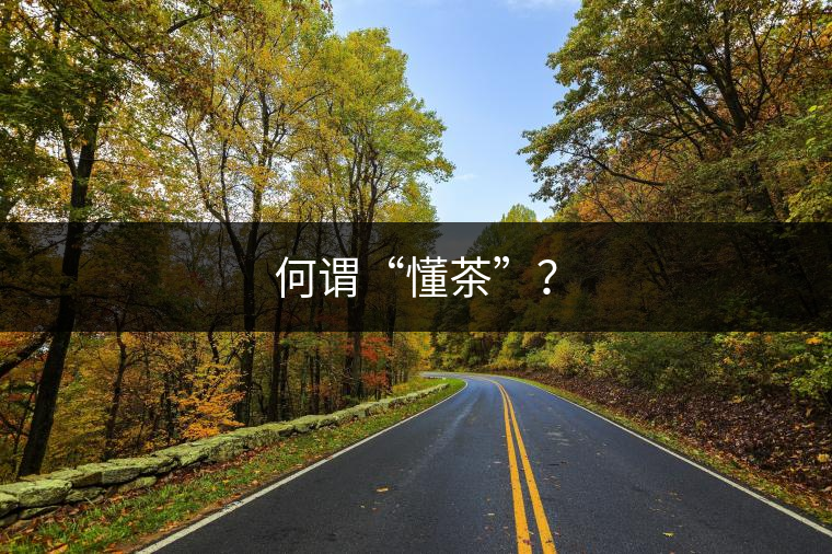 何謂“懂茶”？