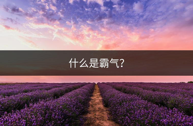 什么是霸氣？