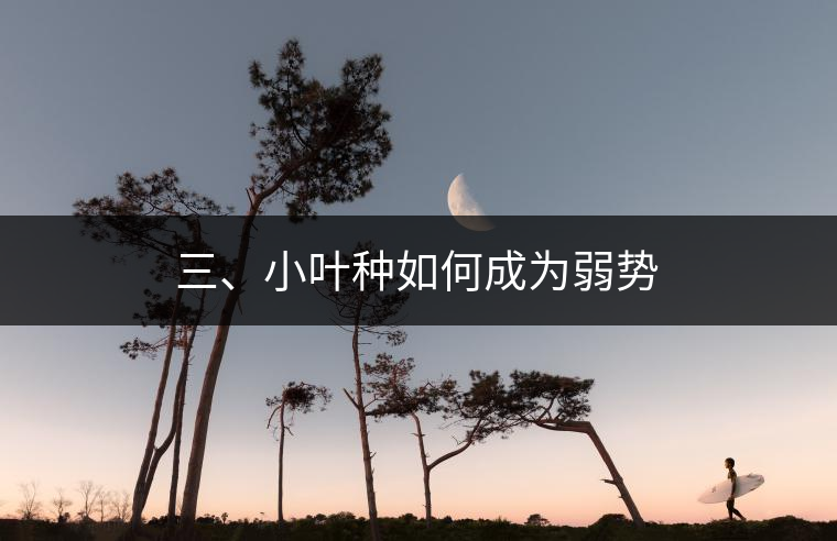 三、小葉種如何成為弱勢