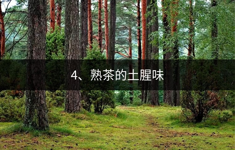 4、熟茶的土腥味