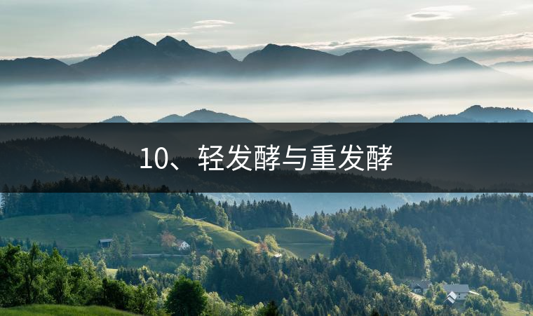 10、輕發(fā)酵與重發(fā)酵