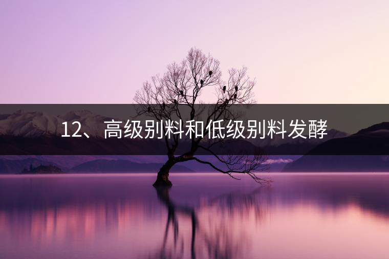 12、高級(jí)別料和低級(jí)別料發(fā)酵