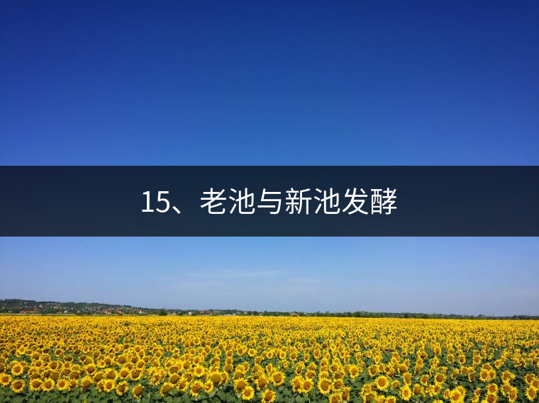 15、老池與新池發(fā)酵