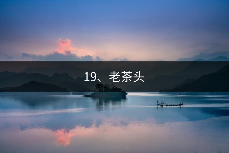 19、老茶頭