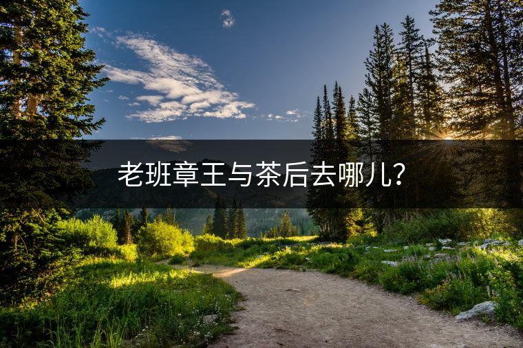 老班章王與茶后去哪兒？