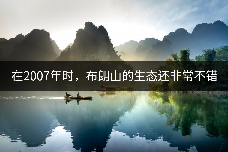 在2007年時，布朗山的生態(tài)還非常不錯：