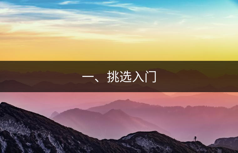 一、挑選入門