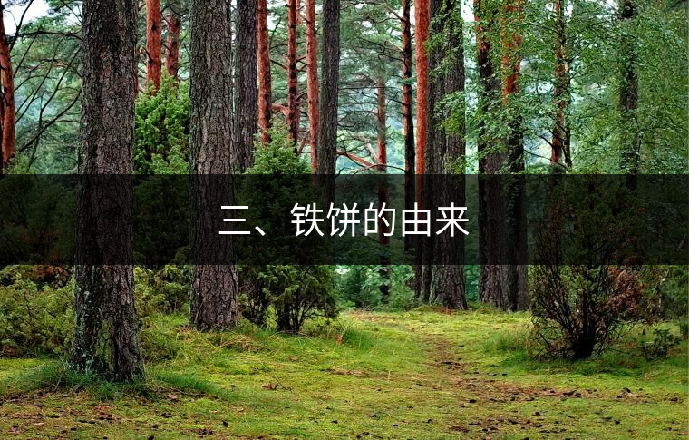 三、鐵餅的由來