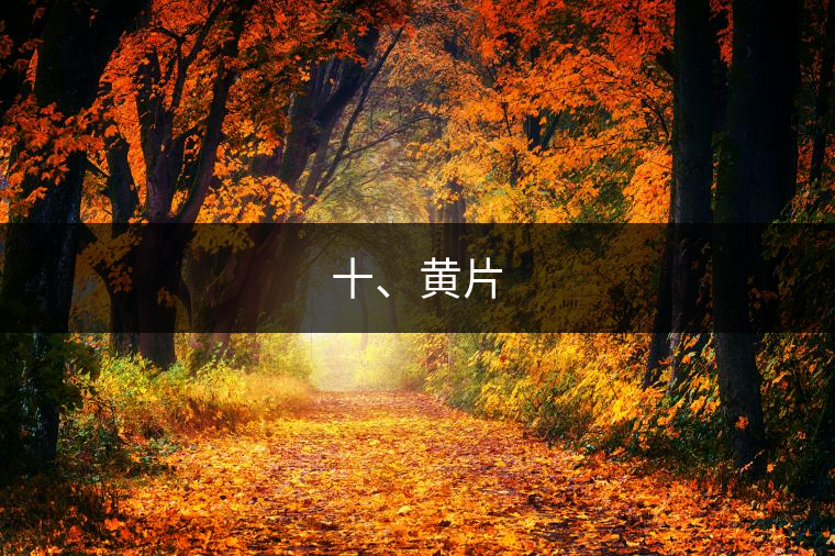 十、黃片
