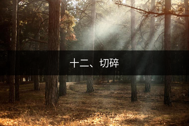 十二、切碎