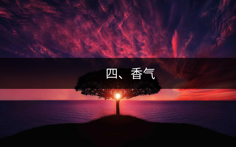 　　四、香氣