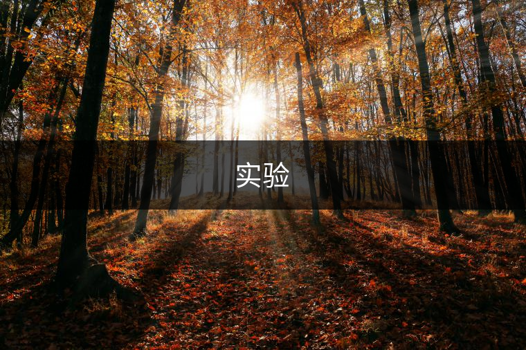 實(shí)驗(yàn) 實(shí)驗(yàn)