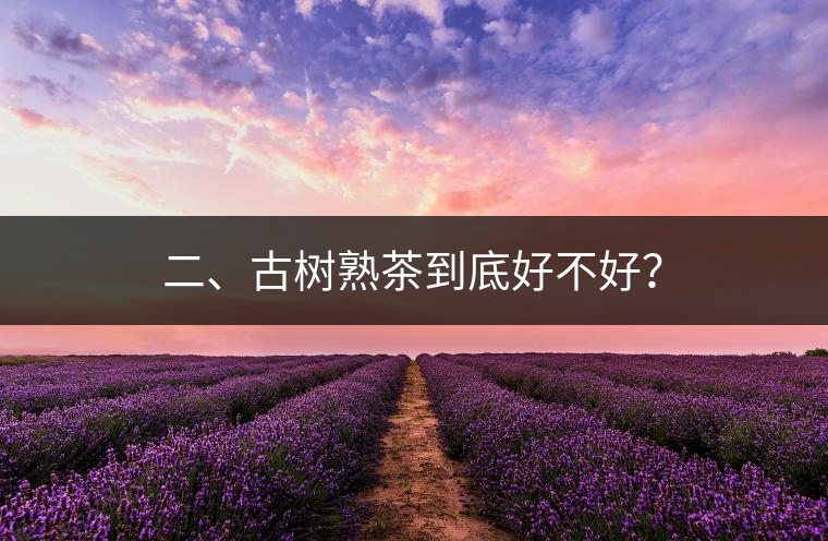 二、古樹熟茶到底好不好？