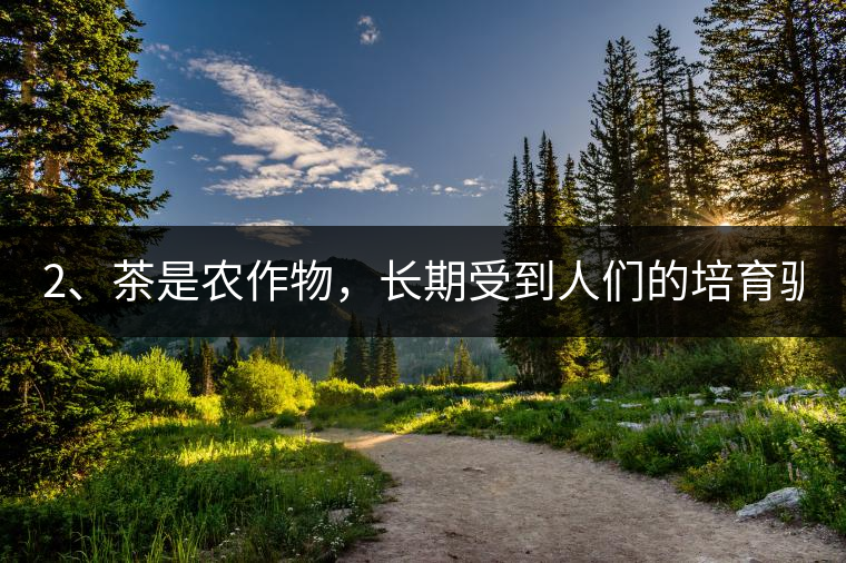 2、茶是農(nóng)作物，長期受到人們的培育馴化。