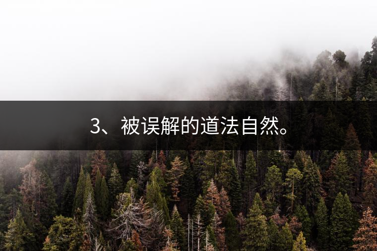 3、被誤解的道法自然。