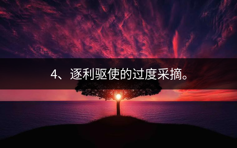 4、逐利驅(qū)使的過度采摘。