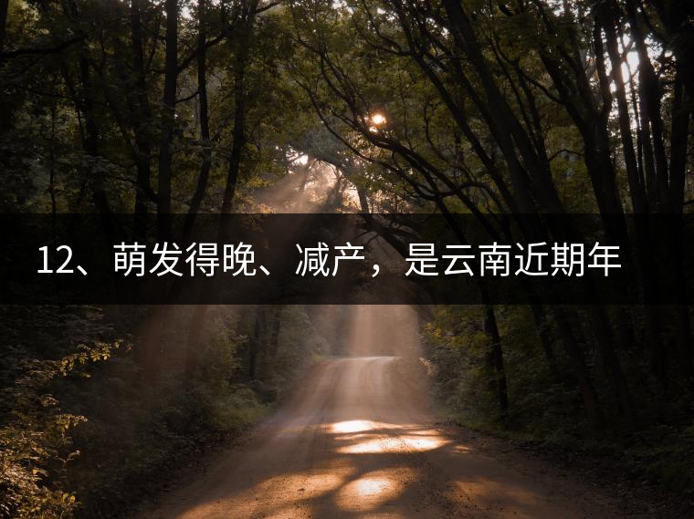 12、萌發(fā)得晚、減產(chǎn)，是云南近期年氣候變化在茶樹上的延遲反映。