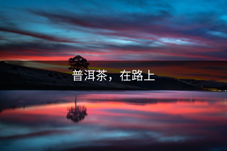 普洱茶，在路上